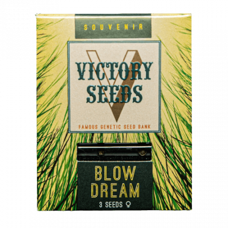 Seminte Feminizate - Seminte Canabis Blow Dream Feminized