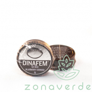 Seminte Cannabis - Seminte Canabis Blueberry Cookies Feminized, 5 seminte