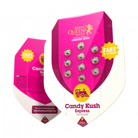 Seminte Cannabis - Seminte Canabis Candy Kush Express Feminized, 5 seminte