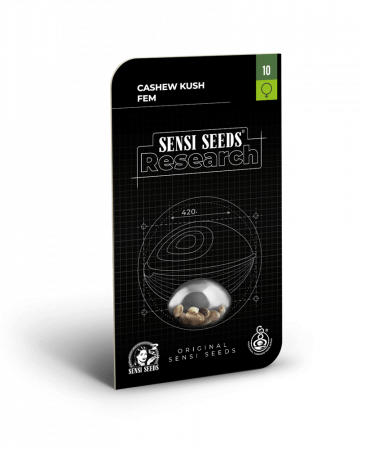 Seminte Cannabis - Cashew Kush Feminized, 5 seminte
