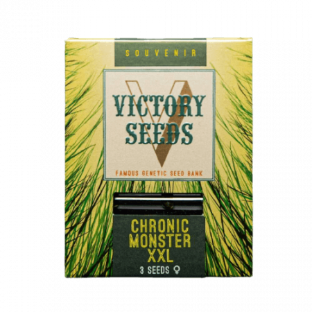 Seminte Feminizate - Seminte Canabis Chronic Monster XXL Feminized
