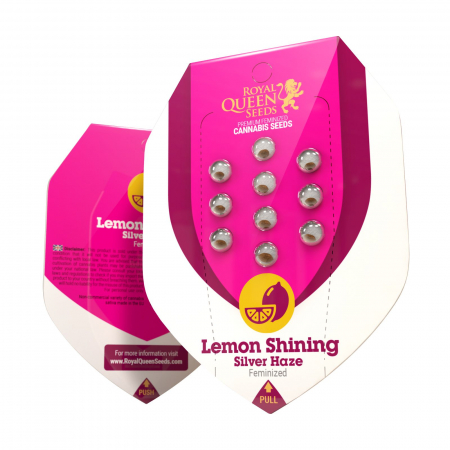 Seminte Cannabis - Lemon Shining Silver Haze Feminized, 5 seminte