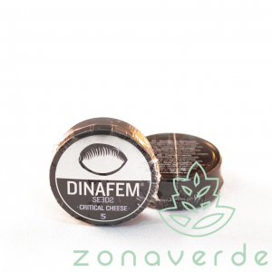 Seminte Cannabis - Seminte Canabis Critical Cheese Feminized, 5 seminte