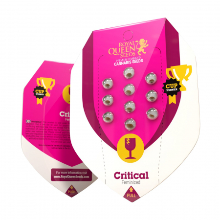 Seminte Feminizate - Critical Feminized, 5 seminte