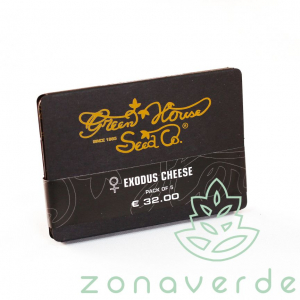 Seminte Cannabis - Seminte Canabis Exodus Cheese Feminized, 5 seminte