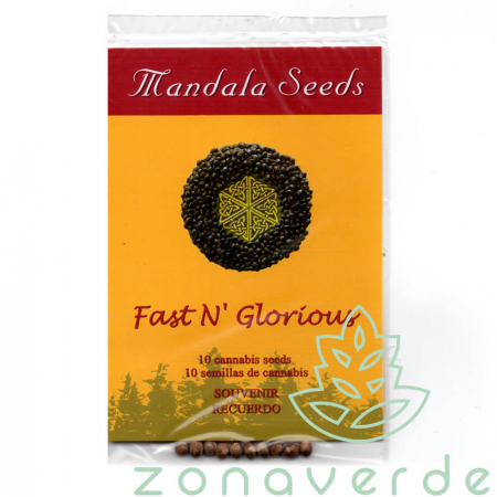 Seminte Cannabis - Seminte Canabis Fast N Glorious Regular, 10 seminte