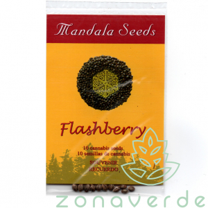 Seminte Cannabis - Seminte Canabis Flashberry Regular, 10 seminte