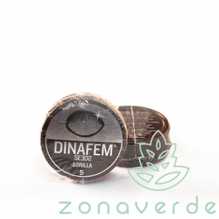 Dinafem - Seminte Canabis Gorilla Feminized, 5 seminte