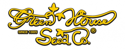 Green House Seeds - Seminte Cannabis Auto Sweet Mango, 5 seminte