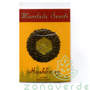 Seminte Cannabis - Seminte Canabis Hashberry Regular, 10 seminte