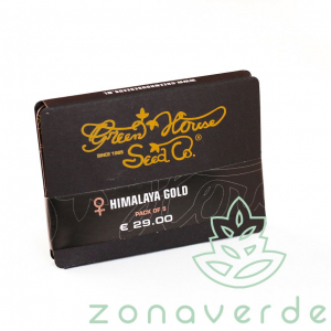 Seminte Cannabis - Seminte Canabis Himalaya Gold Feminized, 5 seminte