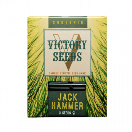 Seminte Feminizate - Seminte Canabis Jack Hammer Feminized