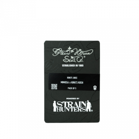 Seminte Feminizate - Kings Juice Feminized, 5 seminte