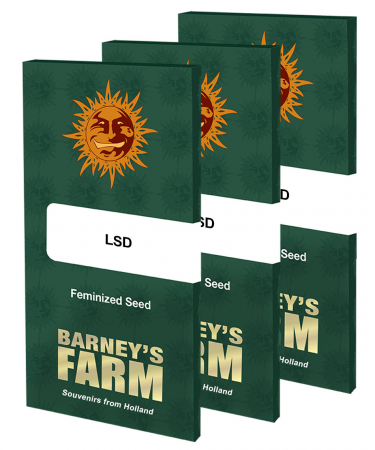 Seminte Cannabis - Seminte Canabis LSD Feminized, 5 seminte