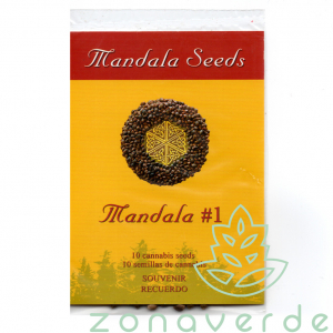 Seminte Cannabis - Seminte Canabis Mandala #1 Regular, 10 seminte
