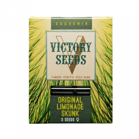 Seminte Feminizate - Seminte Canabis Original Limonade Skunk Feminized