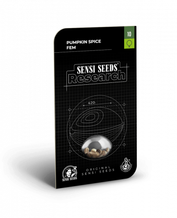 Sensi Seeds - Pumpkin Spice Feminized, 5 seminte