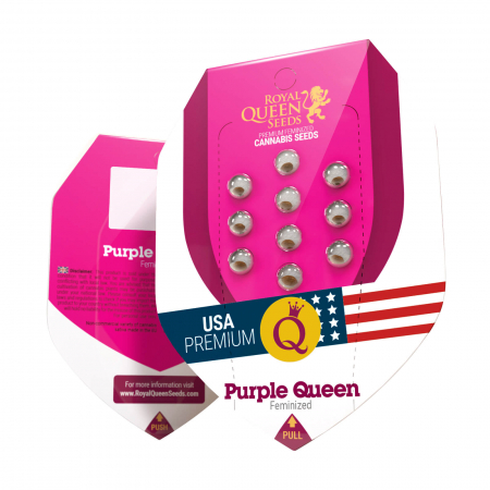 Seminte Cannabis - Seminte Canabis Purple Queen USA Feminized, 5 seminte
