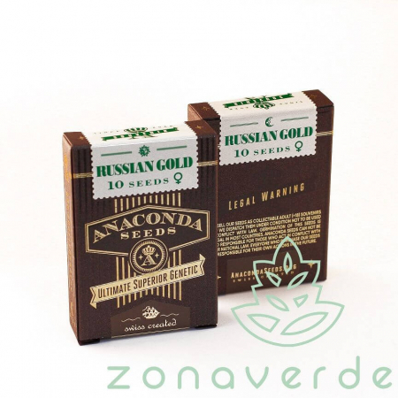 Seminte Feminizate - Seminte Canabis Russian Gold Feminized