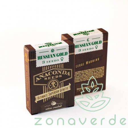 Producatori seminte - Seminte Canabis Russian Gold Feminized