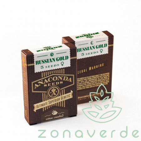 Seminte Feminizate - Seminte Canabis Russian Gold Feminized