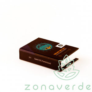 Seminte Cannabis - Seminte Canabis Saint OG Feminized
