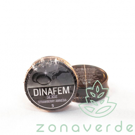 Dinafem - Seminte Canabis Strawberry Amnesia Feminized, 5 seminte