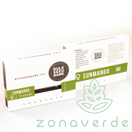 Seminte Cannabis - Seminte Canabis Sunmango Feminized