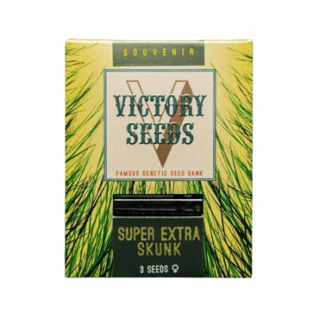 Seminte Feminizate - Seminte Canabis Super Extra Skunk Feminized