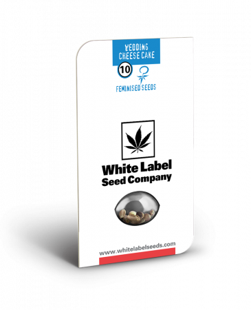 Sensi Seeds - Seminte Canabis Wedding Cheesecake Feminized, 5 seminte