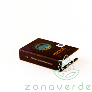 Seminte Feminizate - Seminte Canabis White Cheddar Feminized