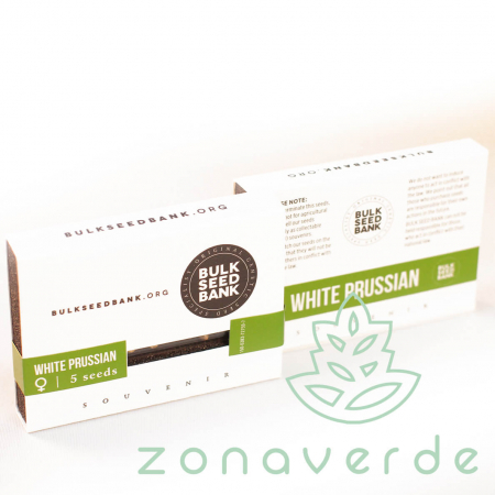 Seminte Cannabis - Seminte Canabis White Prussian Feminized