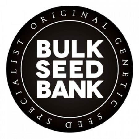 Producatori seminte - Auto Hell Bells OG Feminized