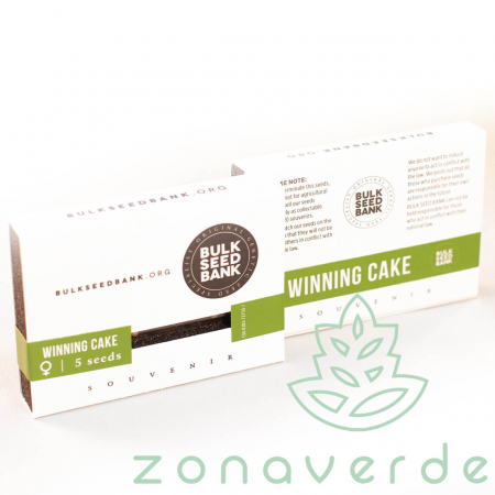 Seminte Feminizate - Seminte Canabis Winning Cake Feminized