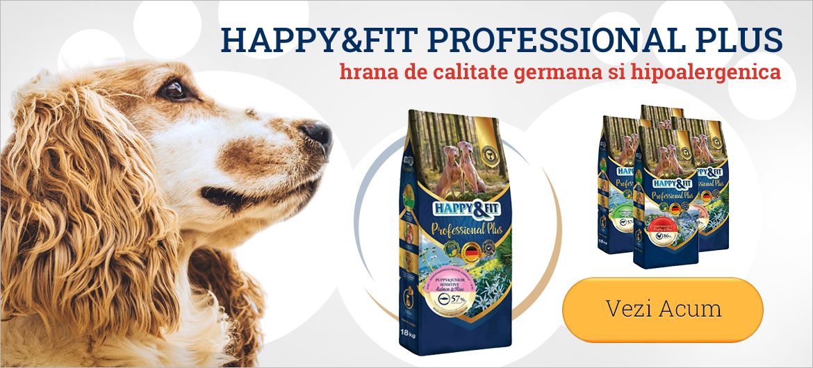 Home-Main Professional PLus