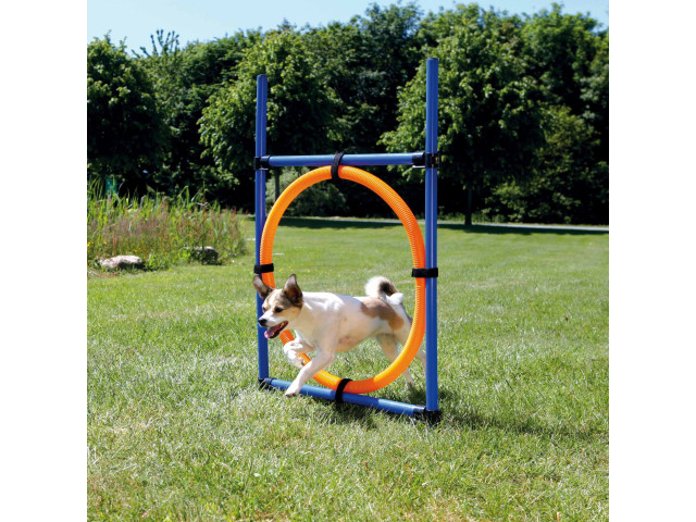 Trixie Jucarie Agility Ring 65 cm 3208 [2]