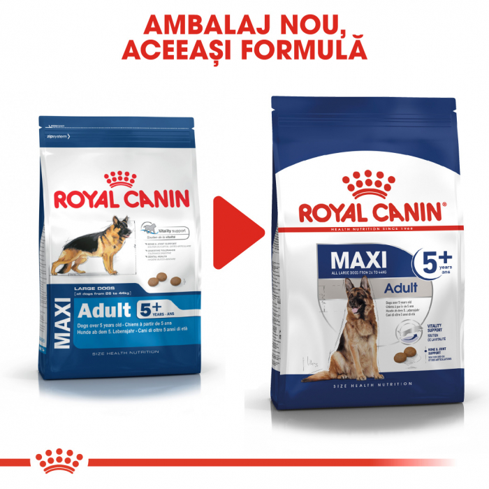 Royal Canin Maxi Adult 5+ [4]