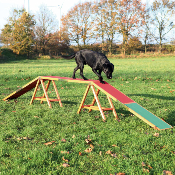 Barna Pentru Caini, Fun Agility, 456x64x30 cm, Pana la 80 kg, 32090 [2]