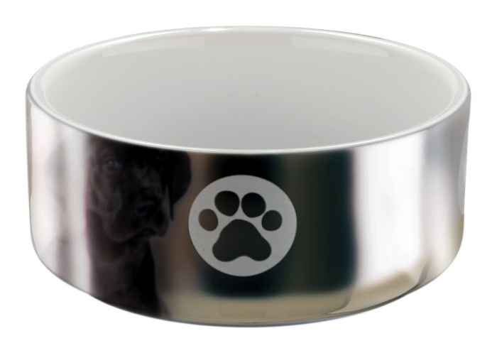 Castron Ceramic, 0.3 l/12 cm, Argintiu/Alb, 25083 [2]