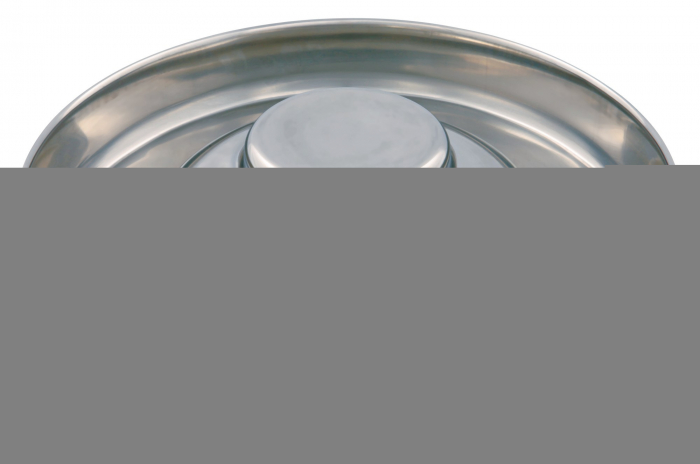 Castron Inox Pentru Caini Juniori (Puppy), 4 l /38 cm, 25282 [2]