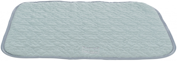 Covoras Junior, Cu Efect De Racire, 50x40cm, 28752 [2]