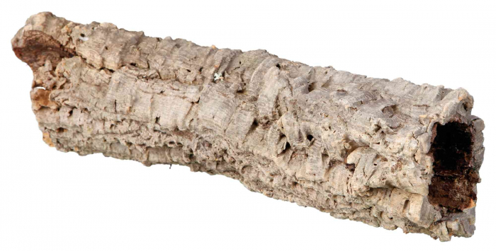 Decor Terariu Scoarta Copac, 10 - 40 cm, 76400 [1]