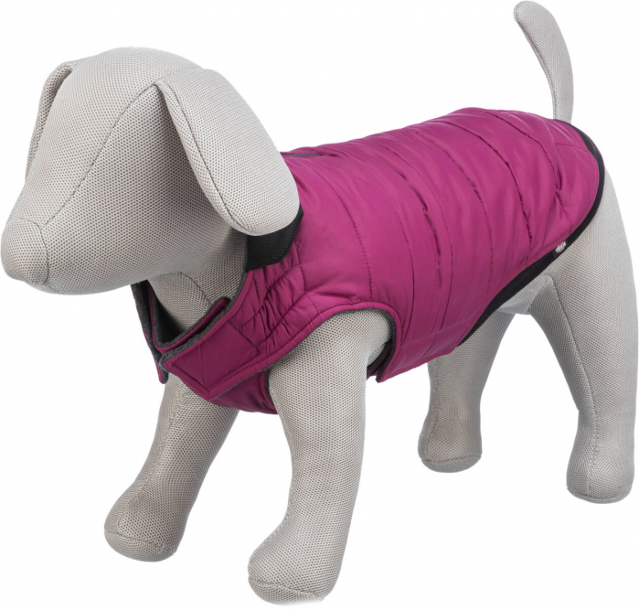 (-30%) Hainuta Arlay, S: 36 cm, Visiniu, 680336 [3]