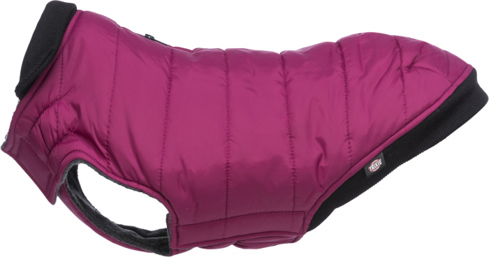 (-30%) Hainuta Arlay, XXS: 21 cm, Visiniu, 680331 [3]