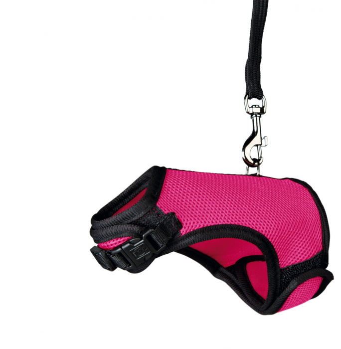 Ham Si Lesa Pentru Porcusori de Guineea, Soft, 18-25 cm/1.20 m, Diferite Culori, 61512 [2]