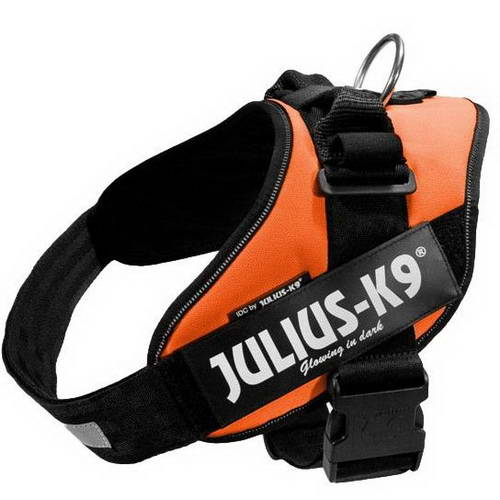 Ham Julius K-9 3 82-115 cm Portocaliu 40-70 kg 14993 [1]