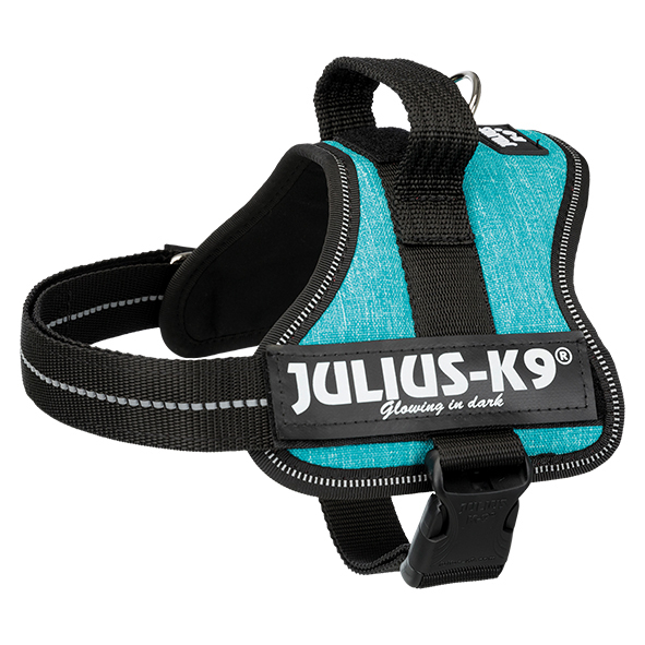 Ham Julius-K9, S, 51-67 cm/28 mm, Ocean, 150212 [2]
