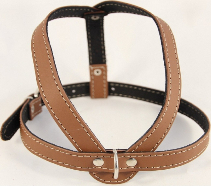 Ham piele reglabil 57 - 67 cm Nr 2 maro [1]