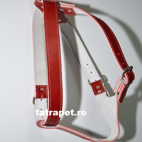 Ham piele reglabil 85 - 95 cm Nr 4 rosu [1]