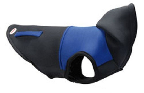 Jacheta Jogger sport albastru Nr 40 [1]